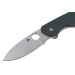 Couteau pliant Spyderco Brouwer C232GTIP manche en Titane/G10 vert forêt 10,2cm