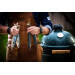 Barbecue Big Green Egg Large multifonctions en céramique de qualité supérieure
