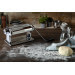 Machine à pâtes Marcato Atlas 180 Classique acier chromé