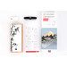 Set d'aiguisage Kotai avec pierre à aiguiser 1000/6000 + 3 accessoires