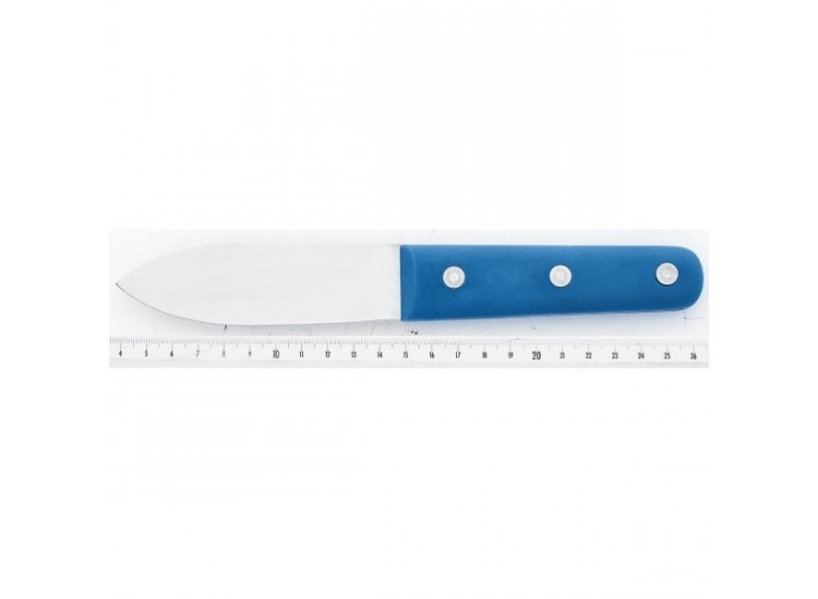 Couteau &agrave; coquille St Jacques Lame large 11cm inox, manche bleu