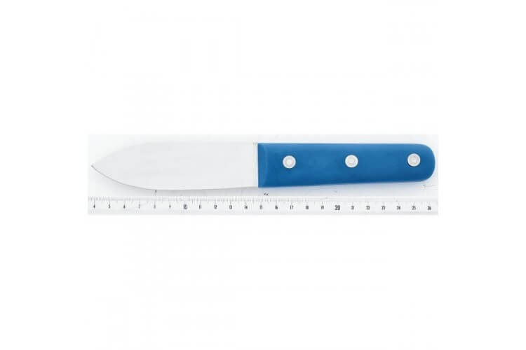 Couteau à coquille St Jacques Lame large 11cm inox, manche bleu
