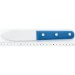 Couteau à coquille St Jacques Lame large 11cm inox, manche bleu