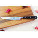 Couteau à steak Sabatier Éléphant Idéal Forgé lame lisse 13cm manche nylon noir