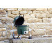Pack Big Green Egg Mini barbecue + convEGGtor + berceau panier