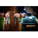 Pack Big Green Egg Large barbecue + convEGGtor + chariot à roulettes