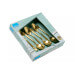 Coffret de 6 cuillères à moka Amefa Austin inox revêtement PVD