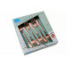 Coffret de 6 fourchettes dessert Amefa Austin inox revêtement coloré