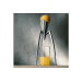 Presse-agrumes Alessi Juicy Salif en fonte d'aluminium design par Philippe Starck