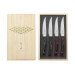 Coffret 4 couteaux à steak japonais Kanetsugu Nami damassées 4 couleurs différentes