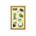 Torchon de cuisine Beauvillé Légumes Verts fabriqué en France 50x80cm