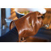 Gant de cuisine DutchDeluxes en cuir