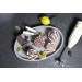 Coffret Bamix Pâtisserie M200 Swissline crème - accessoires + livre de recettes