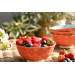 Bol en grès émaillé Kitchen Craft à motif floral gris et rouge