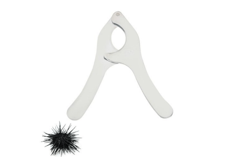 Coupe oursin Chevalier Diffusion en acier inox