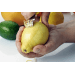 Zesty 4 en 1 multifonction manche en polypropylène avec 2 étuis de protection