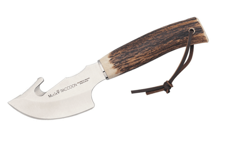 Couteau Muela Raccoon 9232 lame 8cm en inox manche en bois de cerf + étui en cuir