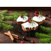 Moule en silicone professionnel Silikomart Silicon Flex 300x175mm 7 cakes