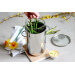 Cuit asperges Cristel 16cm avec panier inox et couvercle verre compatible induction