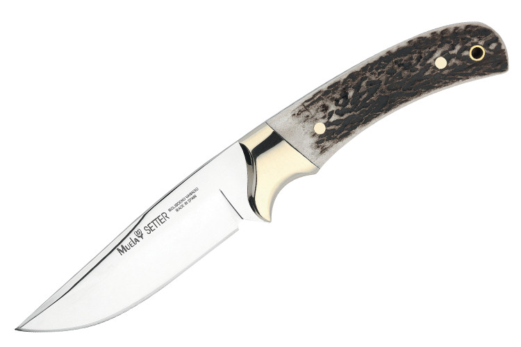 Couteau Muela Setter 9266 lame 11cm en inox manche en bois de cerf + &eacute;tui en cuir