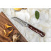Couteau bec d'oiseau Fukito Rosewood Damas 67 couches 8cm manche bois de rose