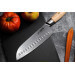 Mallette 4 couteaux de cuisine Fukito Pakka San Mai