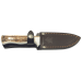 Couteau Puma IP Nordic I Stag 310712 lame 11,4cm manche bois de cerf + étui cuir
