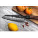 Couteau santoku Sayuto Séquoia San Mai martelé 18cm