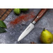 Coffret 2 couteaux Sayuto Pakka X50 Chef + Office