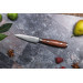 Coffret 3 couteaux Sayuto Pakka X50 Chef + Universel + Office