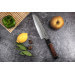 Couteau santoku Sayuto Desert Damas martelé 18cm