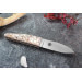 Couteau à huître Charles Canon manche en coquille Saint-Jacques fabriqué en France + coffret en bois