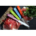 Coffret 4 couteaux d'office inox Opinel manches coloris acidulés lame 10cm