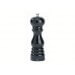 Moulin à sel PEUGEOT Paris coloris laqué noir 18cm