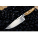 Couteau de chef Wüsthof Amici forgé 16cm