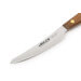 Couteau à steak Arcos Nordika lame 10cm