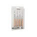 Coffret de 4 couteaux à steak Arcos The Origin manche micarta beige