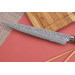 Couteau sujihiki japonais Takeshi Saji R2 Damas Mosaïque 24cm