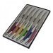 Coffret 6 couteaux de table Laguiole Pastel